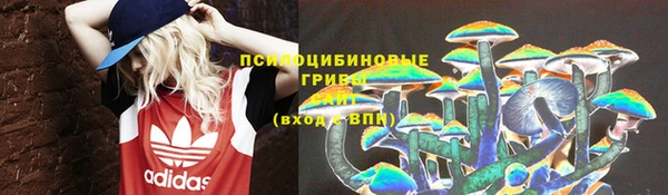 спиды Алексеевка